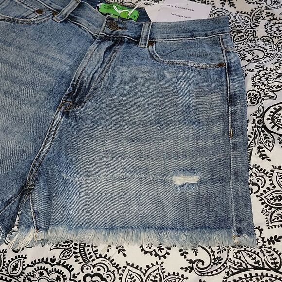 NWT Sandrine Rose x Free People Higher Rise Relaxed Shorts w Frayed Hem Size 25 - Picture 6 of 12
